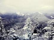 2016-01-18 07.02.39 1