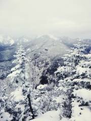 2016-01-18 07.02.42 1