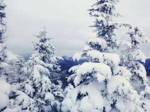 2016-01-18 07.02.47 1