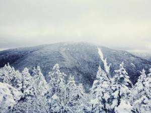 2016-01-18 07.02.51 1