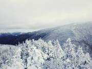 2016-01-18 07.02.55 1