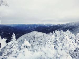 2016-01-18 07.02.58 1