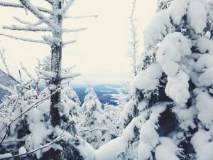 2016-01-18 07.03.01 1