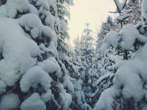 2016-01-18 07.03.05 1