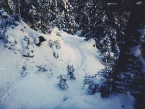 2016-01-18 07.03.08 1