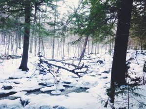 2016-01-18 07.03.11 1