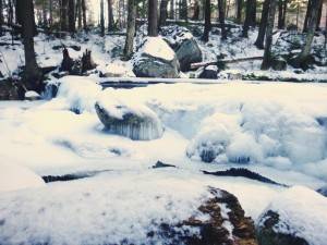 2016-01-18 07.03.14 1