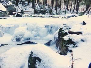 2016-01-18 07.03.16 1