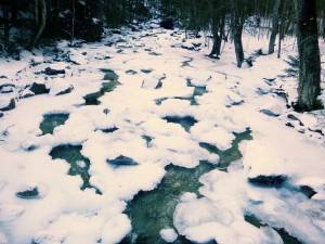 2016-01-18 07.03.18 1