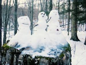 2016-01-18 07.03.21 1