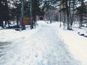 2016-01-18 07.03.26 2