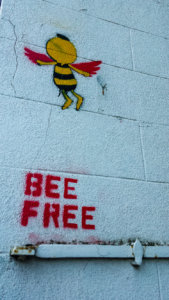 20180428-20-20180428 202307