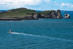 20180429-23-DSC04342