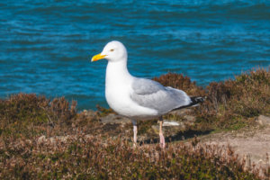 20180429-25-DSC04359