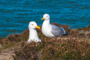 20180429-26-DSC04365