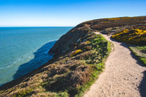 20180429-27-DSC04384