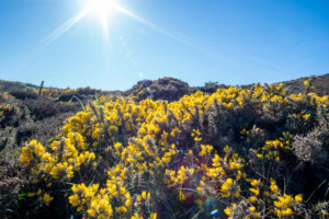 20180429-28-DSC04389