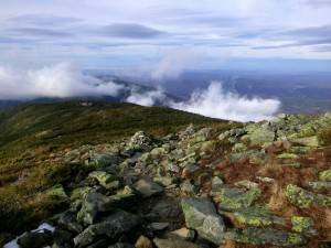 2015-12-01 04.43.46 1  