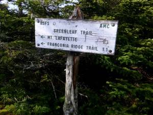 2015-12-01 04.43.51 1  