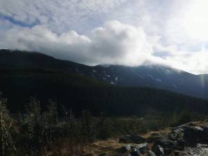 2015-12-01 04.43.53 1  