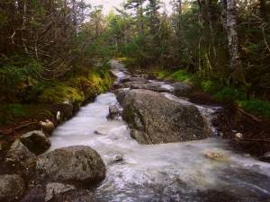 2015-12-01 04.43.58 1  