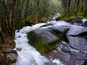 2015-12-01 04.44.02 1  