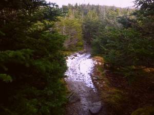 2015-12-01 04.44.08 1  