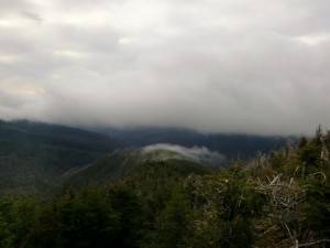 2015-12-01 04.44.11 1  