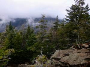 2015-12-01 04.44.14 1  