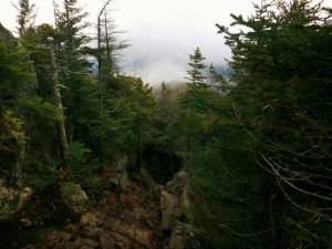 2015-12-01 04.44.20 1  