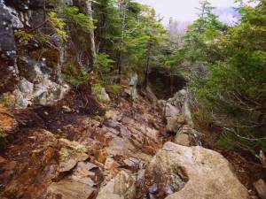 2015-12-01 04.44.24 1