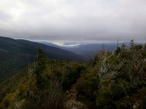 2015-12-01 04.44.29 1