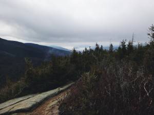 2015-12-01 04.44.33 1