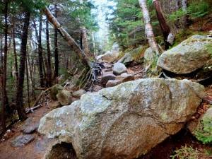 2015-12-01 04.44.40 1   