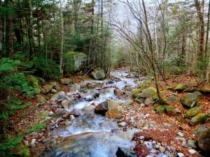 2015-12-01 04.44.46 1   