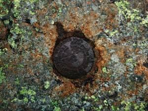 2015-12-01 07.16.09 1   