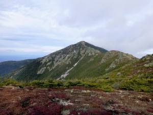 2015-12-02 08.14.40 1   