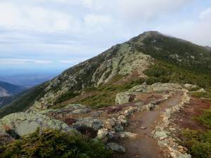 2015-12-02 08.14.54 1   