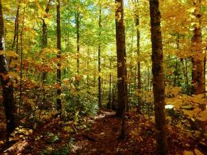 2015-10-12 09.22.15 1