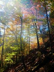 2015-10-12 09.22.39 1