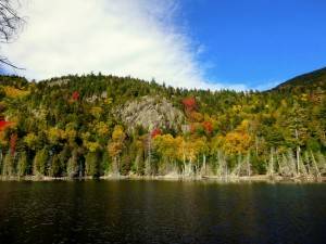 2015-10-12 09.22.44 1