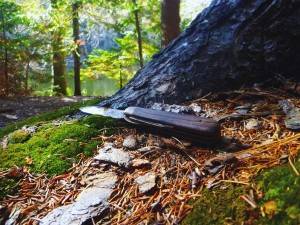 2015-10-12 09.22.49 1