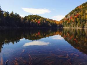 2015-10-12 09.22.53 1