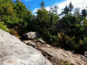 2015-10-12 09.24.10 1 