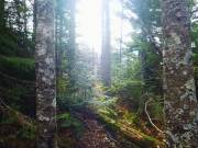 2015-10-12 09.24.19 1 