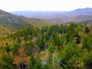 2015-10-12 09.24.34 1 