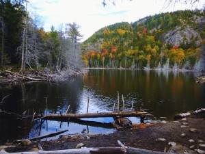 2015-10-12 09.24.57 1 