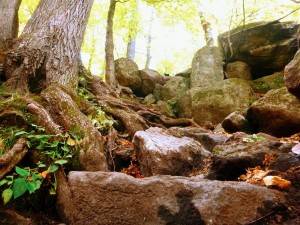 2015-10-12 09.25.19 1 