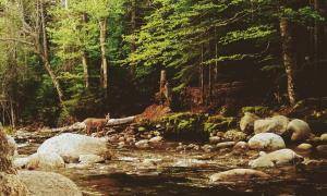 2017-06-12 02.58.02 1