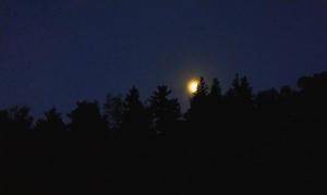 2017-06-12 02.58.04 1